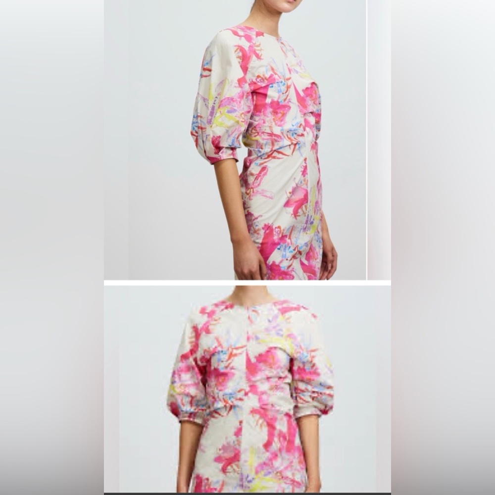 REMAIN Birger Christensen Amilia Print Dress